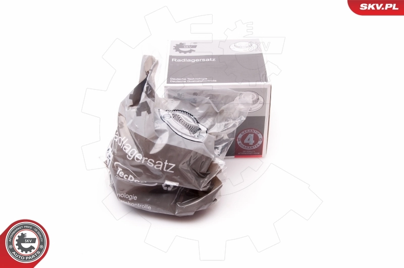 Wheel Bearing Kit